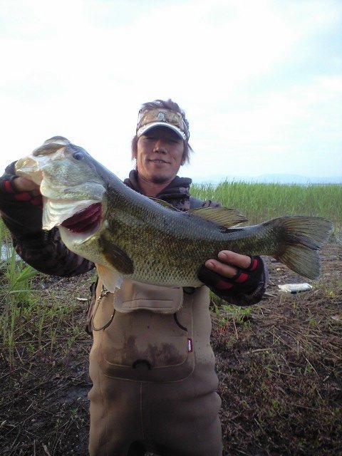 c0127358_20401100.jpg