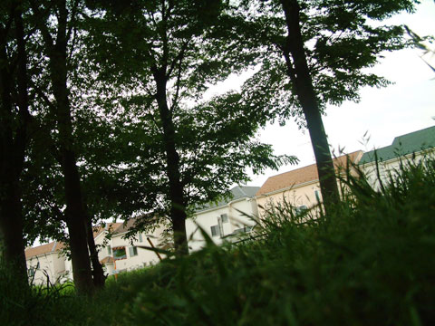 e0073762_2257211.jpg