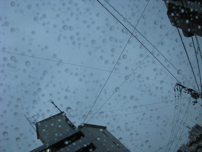五月の雨は冷たくて・・・・。_f0164373_20941100.jpg
