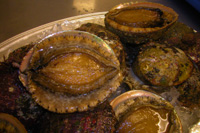 c0100275_1120056.jpg