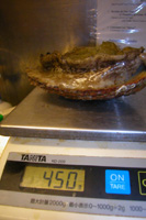 c0100275_11243763.jpg