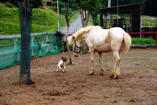 Cafe Story Farm へあずさ9号で♪_c0129381_14524989.jpg