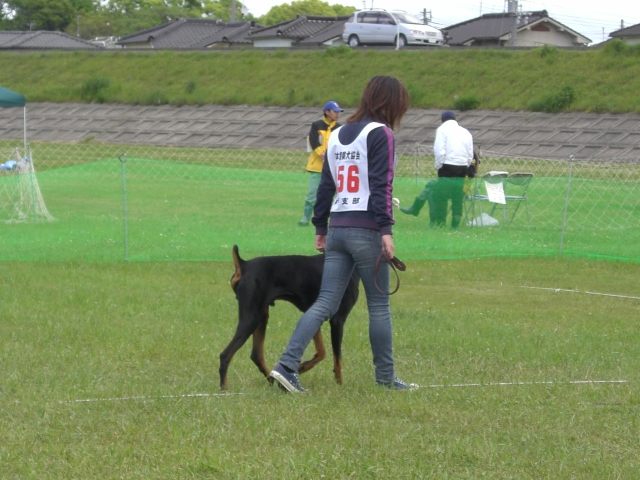 加古川河川敷へ②_a0088086_20383126.jpg