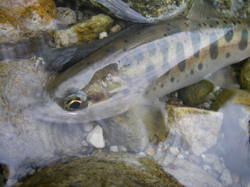 f0129994_64615.jpg