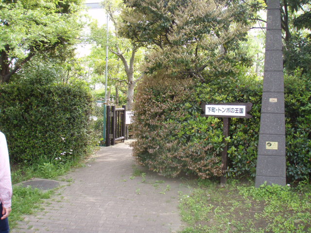 c0008598_1128587.jpg