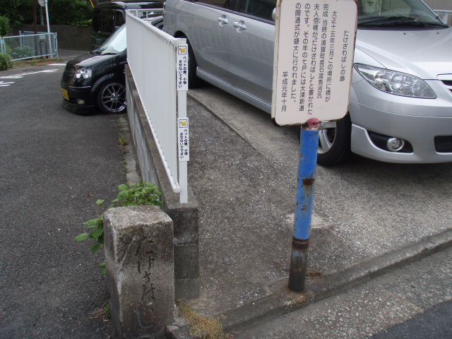 c0008598_11345585.jpg