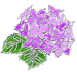 b0112399_18372198.gif