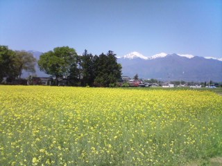 c0052600_137869.jpg