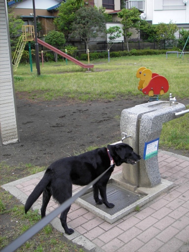 f0034602_19415054.jpg