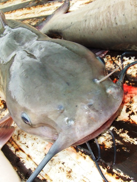 c0062603_40762.jpg