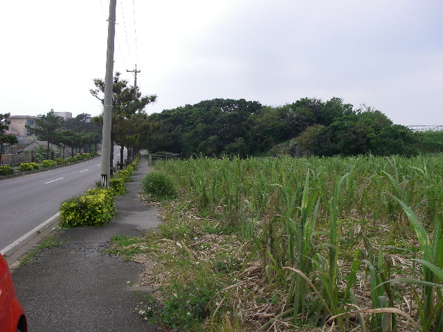 久米島　その4（終わり）_d0006207_737097.jpg