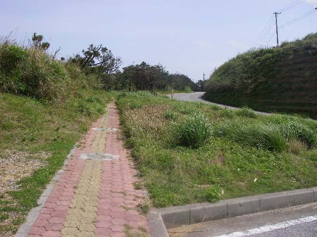 d0006207_7371875.jpg