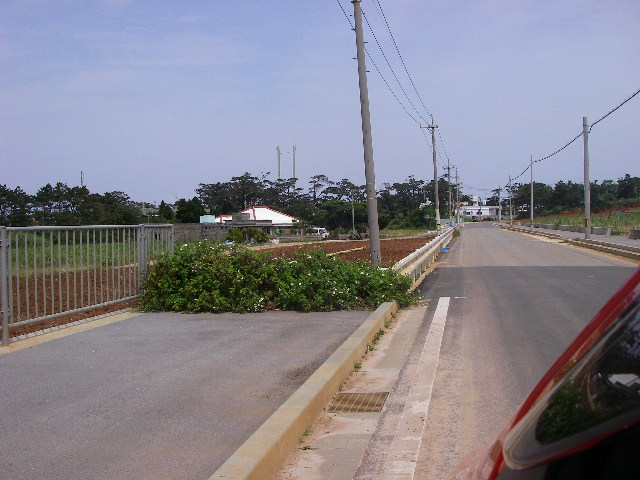 d0006207_7372786.jpg