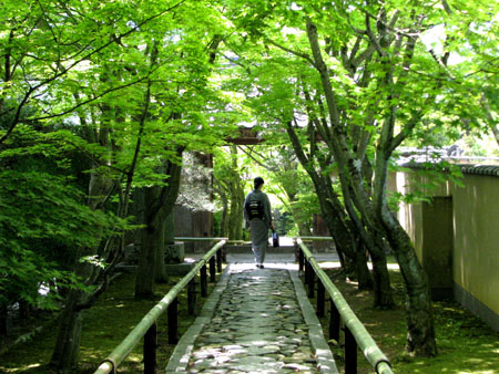 新緑 光悦寺_e0048413_21163986.jpg