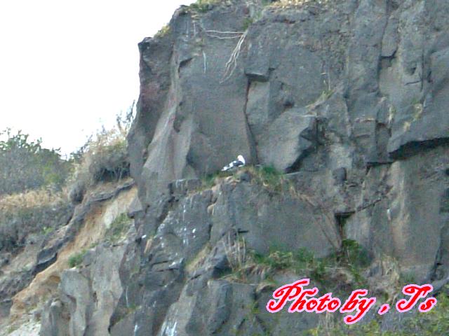 f0147821_11485291.jpg