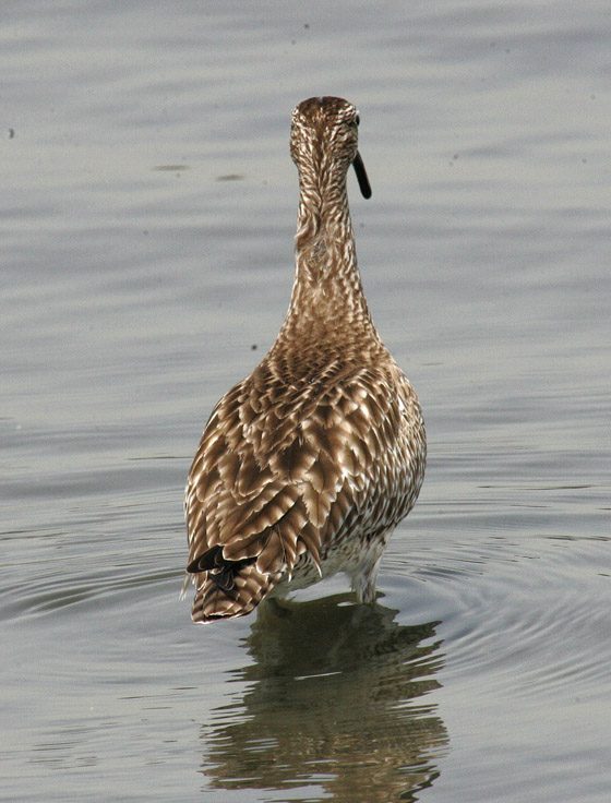 f0161823_55156.jpg