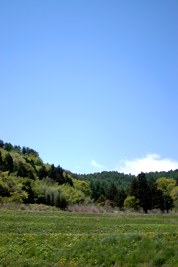 d0008146_21115882.jpg