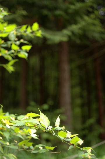 d0008146_21131778.jpg
