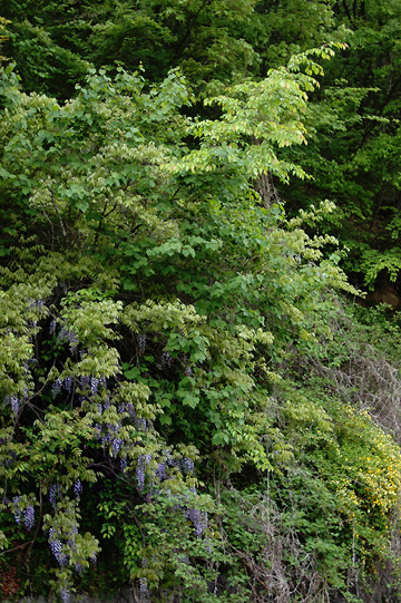 d0008146_21133875.jpg