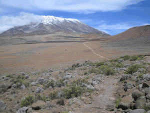 a0044453_720829.gif