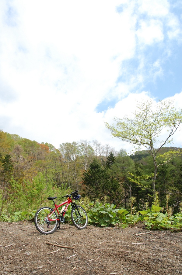 f0114954_2013179.jpg