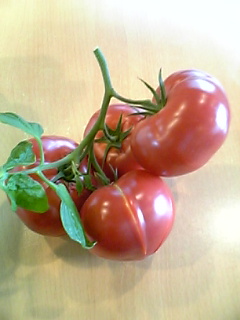 f0073958_114696.jpg