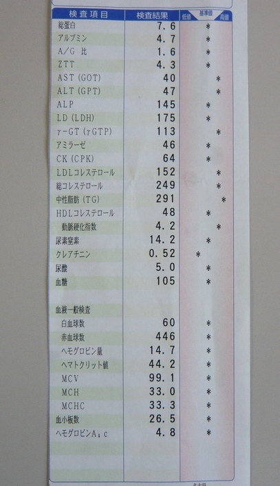 c0084268_9275511.jpg