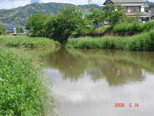 ジャンボうげで・うなぎの夢 ②中学生の奉仕活動_d0007071_16274159.jpg