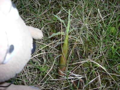 c0158573_1861556.jpg