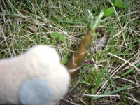 c0158573_1873678.jpg