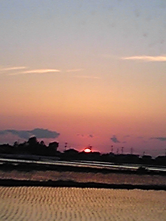 夕焼け♪_a0045193_211413.jpg