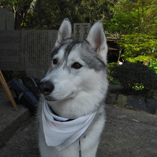 4月22日午前の部^^ 78番~80番_c0049299_14575778.jpg