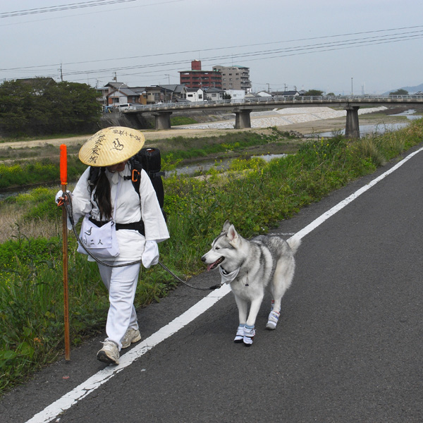 4月22日午前の部^^ 78番~80番_c0049299_14581680.jpg
