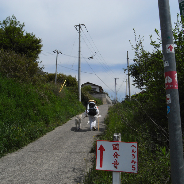 4月22日午前の部^^ 78番~80番_c0049299_14582749.jpg