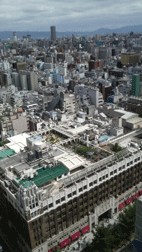 大阪ライブ（その2）_d0141903_17464330.gif