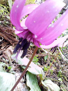 b0028109_12374975.jpg