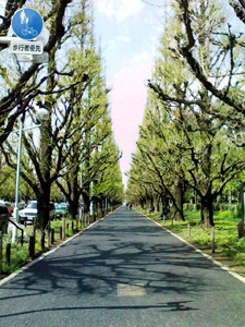 b0028109_12393718.jpg