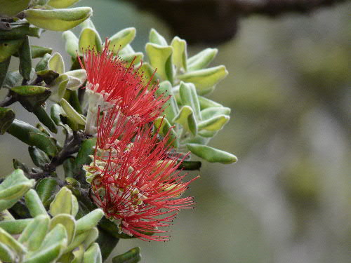 c0127909_12431247.jpg