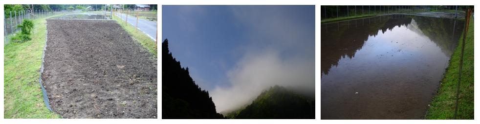 昨夜は、カエルの大合唱でした　　　朽木小川・気象台より_c0044819_713320.jpg