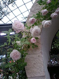 b0102023_18572918.jpg