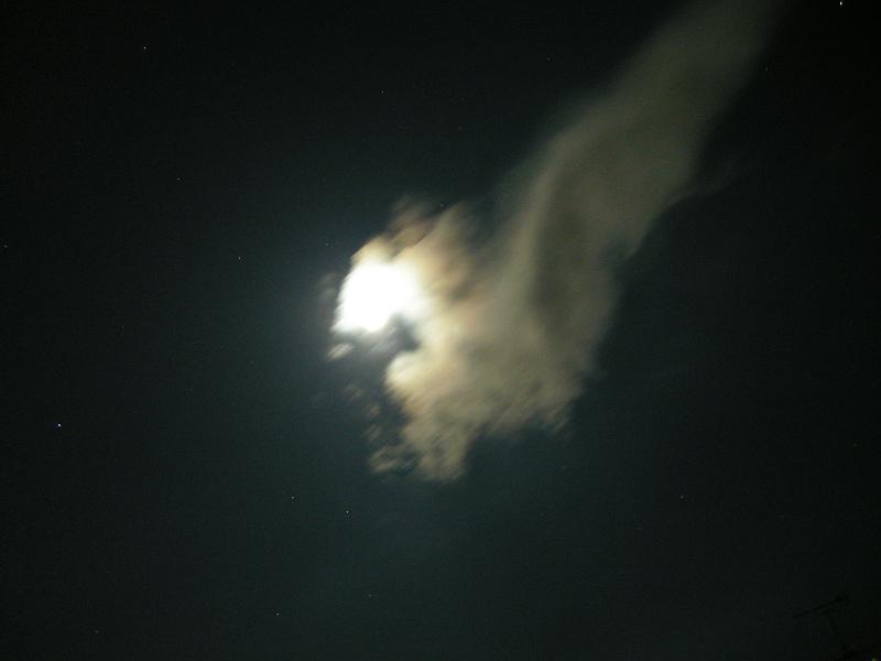 c0144427_2050510.jpg