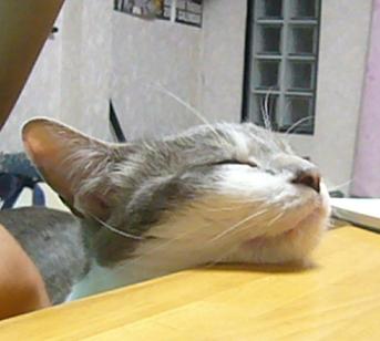 やったね_f0002743_0313989.jpg