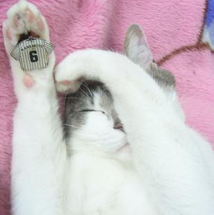 やったね_f0002743_0394344.jpg