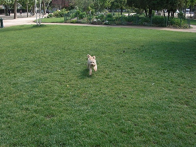 c0129852_059474.jpg