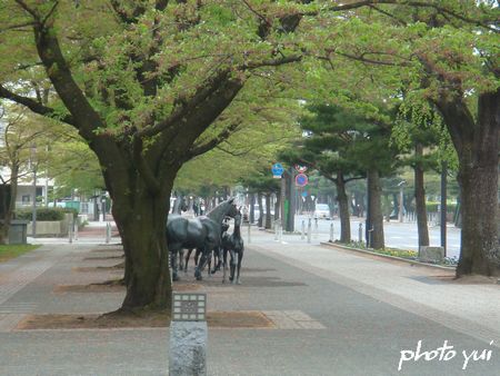 駒街道（十和田市官庁通り）_a0040259_9251858.jpg