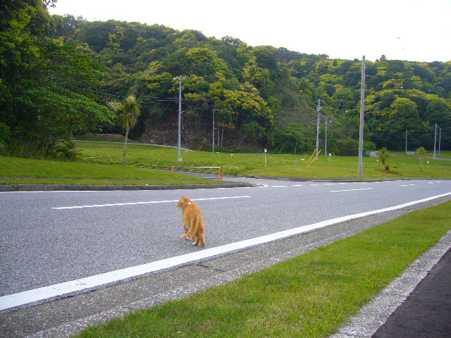 5月15日(木)いろいろ盛りだくさんな日!_f0060461_2234032.jpg