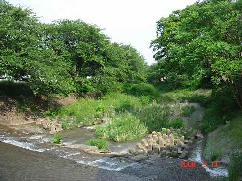 d0007071_17244146.jpg