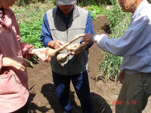 日が長くなる季節が好き。_d0007071_1736120.jpg