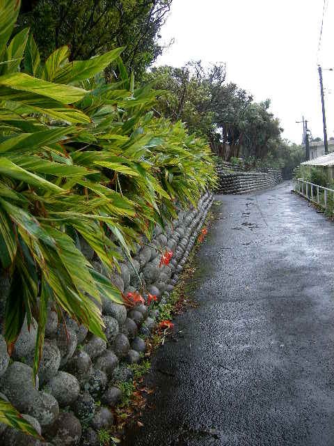 八丈島の旅３　名所_f0118879_2217406.jpg