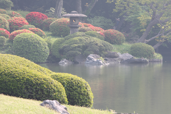 「かすみたつ」　　駒込　六義園_f0164989_22482616.jpg